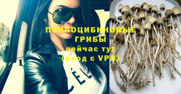 каннабис Баксан