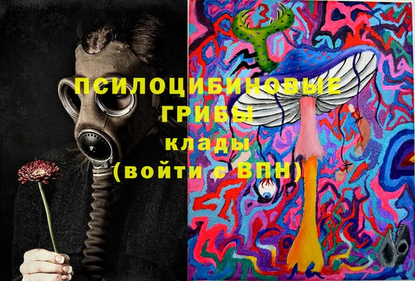 apvp Балабаново