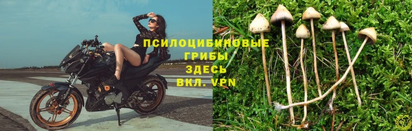 apvp Балабаново