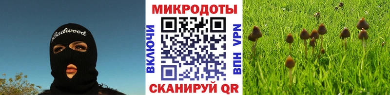 купить закладку  Городец  Галлюциногенные грибы мицелий 