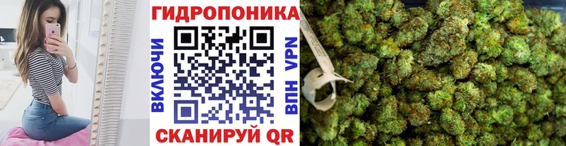Каннабис White Widow Городец
